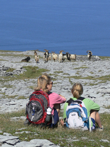 Ireland-Burren-Clare and the Burren cycling safari